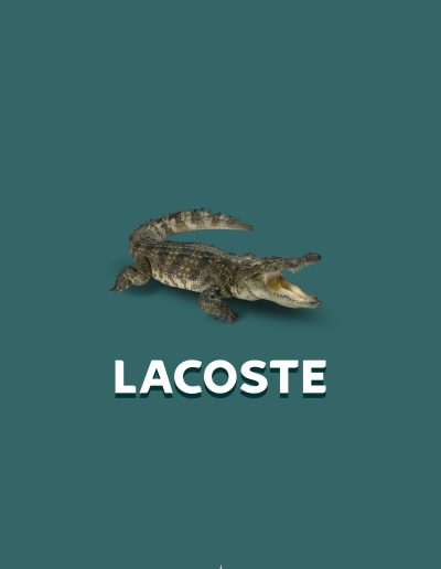 Affiche Lacoste realistic - Photoshop