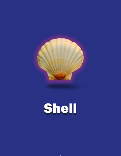 Affiche Shell realistic - Photoshop